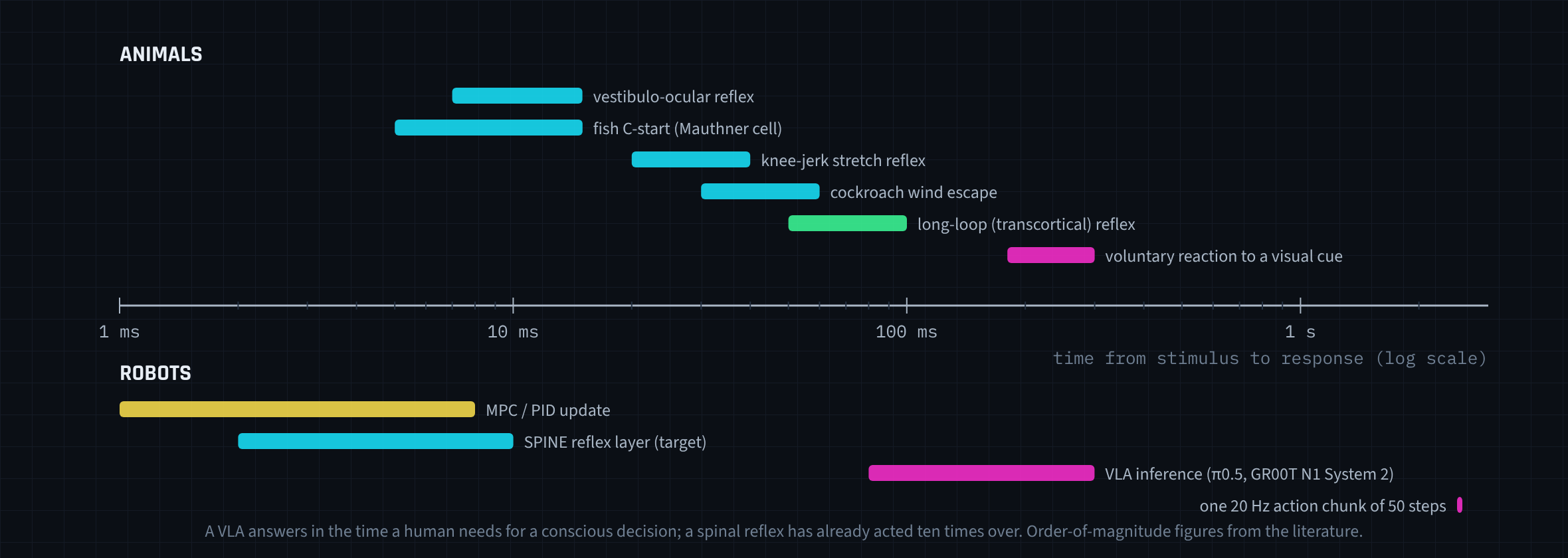 Reaction latencies of animal reflexes and robot control loops on one logarithmic time axis